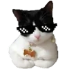 😎