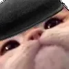 😼