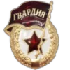 🎖