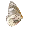 🦋