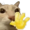 👋