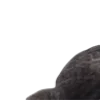 🐦‍⬛