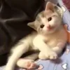 💗