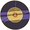 💿