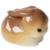 🐰