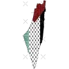 🇵🇸
