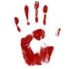 🤚