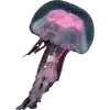 💓