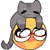 🐈