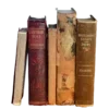 📚