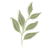 🌿