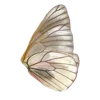 🦋