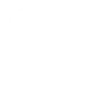 🐜
