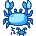 🦀