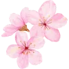 🌸