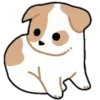🐶
