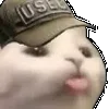 😽