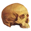 💀