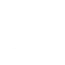 🦕