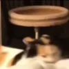 🐈‍⬛