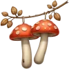 🍄