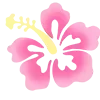 🌺
