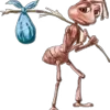 🐜