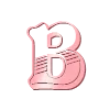 🩷