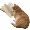 📖