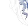 ™️