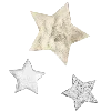 🌟