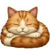 🐱