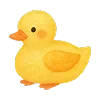 🦆