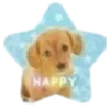 🐶