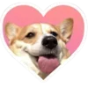 🐕