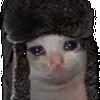 😿