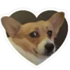 🐕