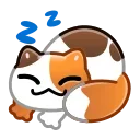 😴
