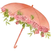 🌂