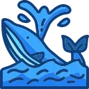 🐋