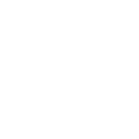 🐟