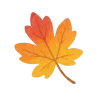 🍂