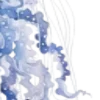 ™️