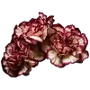 💐