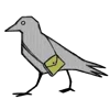🐦‍⬛