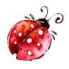 🐞