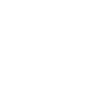 🐊