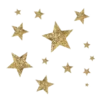 ✨