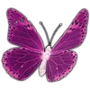 🦋