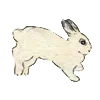 🐰